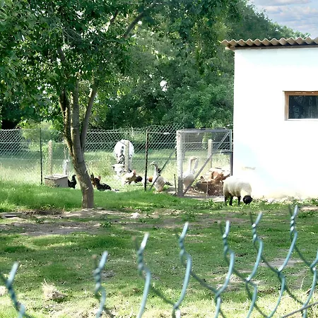 Maison De Charme A Avec Jardin * Avesnes-en-Val